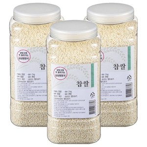 월그그린 싱싱영양통 찹쌀, 2kg, 3개