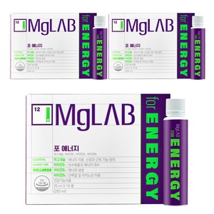 마그랩 포 에너지, 250ml, 3개