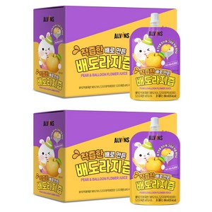 엘빈즈 착츱한 배로 만든 배도라지즙 80ml, 40개