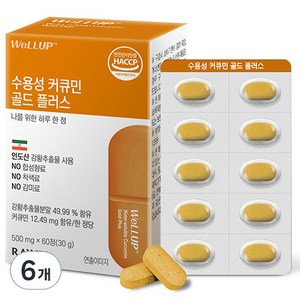 로엘 웰업 수용성 커큐민 골드 플러스 60p, 30g, 6개