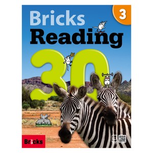 Reading 30, 3, Bricks