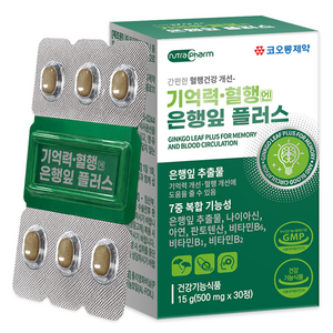 코오롱제약 기억력 혈행엔 은행잎 플러스, 30정, 1개