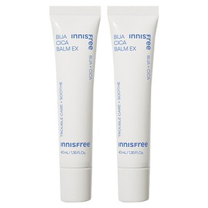 이니스프리 비자 시카밤, 40ml, 2개