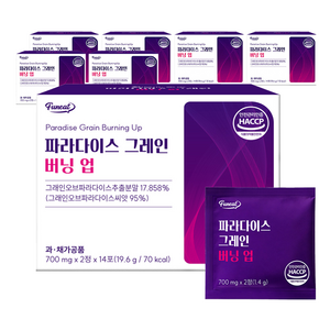 퍼니트 파라다이스 그레인 버닝업 19.6g, 6개, 28정