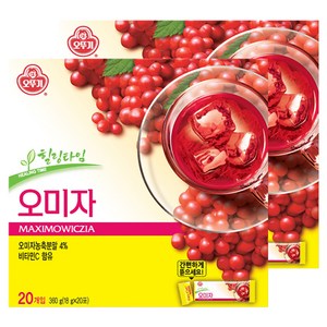 오뚜기 오미자차, 18g, 40개