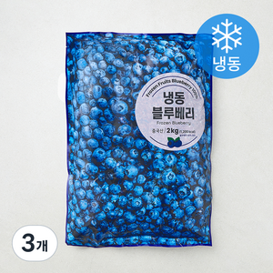 이안 블루베리 (냉동), 3개, 2kg