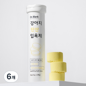 닥터블랭크 반려동물 탄산 입욕제, 60g, 6개