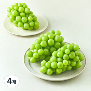 다조은 비파괴당도선별 샤인머스캣, 2kg, 4개