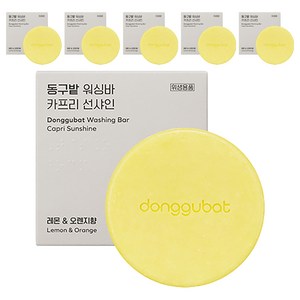 동구밭 카프리 선샤인 과일 채소 세척 설거지 워싱바, 150g, 6개
