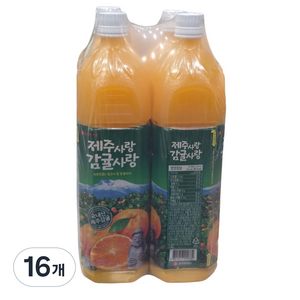 롯데칠성음료 제주사랑 감귤사랑, 1.5L, 16개