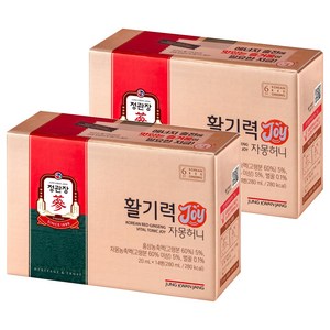 정관장 정품 활기력 JOY, 20ml, 28개