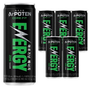 아르포텐 대상웰라이프 코어핏 에너지 드링크, 355ml, 6개