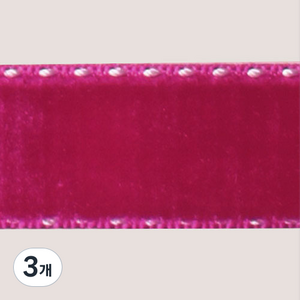 패션포인트 스티치벨벳 W-STC 리본테이프 20mm 20야드, NO 21, 3개