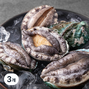 아라보감 산소 품은 국산 전복 500g, 500g(대,4-5미), 3개