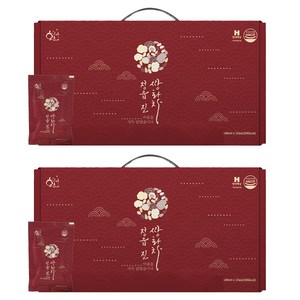 황금이네 정읍진 쌍화차 진액, 100ml, 15개입, 2박스