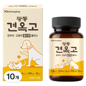 광동제약 견옥고 반려동물 관절 면역 눈 장건강 올인원플러스 영양제 80g, 10개, 종합영양제, 70정
