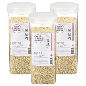 월드그린 싱싱영양통 찰보리, 1kg, 3개