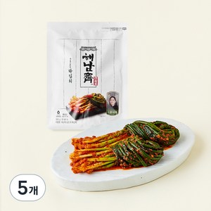 CJ제일제당 해남재 윤나라 셰프 남도식 파김치, 300g, 5개
