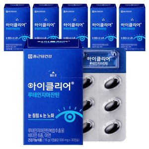 아이클리어 루테인지아잔틴, 30정, 6개, 15g