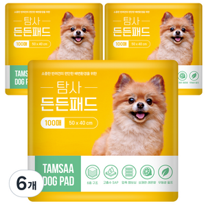 탐사 고흡수 든든패드 레몬향, 100개입, 6개