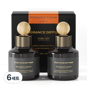 아이엠듀 퍼퓸 차량용 디퓨저 80ml 2개 + 우드볼스틱 2개 + 흡착패드 2개, 베르가못시더, 6세트