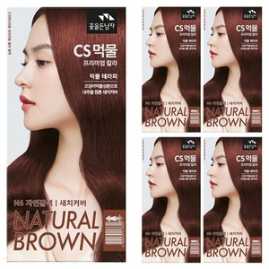 꽃을든남자 CS먹물 프리미엄 헤어 칼라크림 염모제, N6 자연갈색, 5개