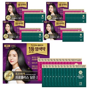 리엔 흑모비책 프로폴리스 담은 크림 염색제 새치용 12회분, 흑색, 5개