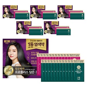 리엔 흑모비책 프로폴리스 담은 크림 염색제 새치용 12회분, 흑색, 6개
