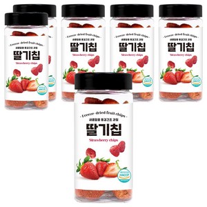 미다몰 HACCP 동결건조 딸기칩, 6개, 55g