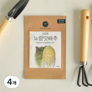 프레시가든 김장용 채소씨앗 노랑맛배추, 4개