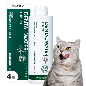 페토덴트 바이옴 덴탈워터 포 캣 구강청결제, 250ml, 4개