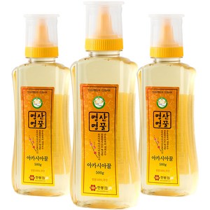 지리산한봉영농조합 국내산 아카시아 명산명꿀, 500g, 3개