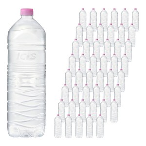 아이시스 생수 무라벨, 48개, 2L
