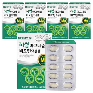 일양약품 마그네슘 비오틴 비타민B 영양제 25.5g, 30정, 5개