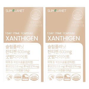 슬림플래닛 잔티젠 600mg 굿밤 다이어트식품, 30정, 2개