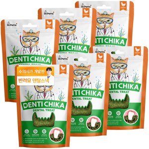 닥터페트라 덴탈 트릿 고양이 간식, 6개, 70g, 닭고기맛
