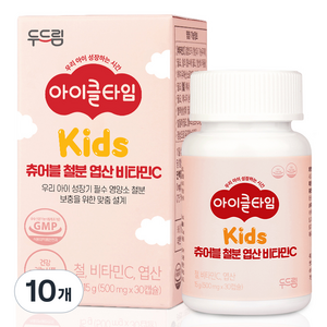 아이클타임 두드림 츄어블 철분 엽산 비타민C 15g, 10개, 30정