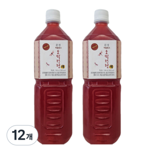 문경몰 자일로스 오미자청, 1L, 1개입, 12개