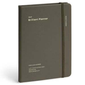 아이코닉 2027 브릴리언트 위클리 다이어리 플래너, 06 ASH BROWN, 1개