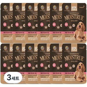 동원뉴트리플랜 어덜트 강아지 모이스트루 주식파우치, 닭+L-테아린, 80g, 36개