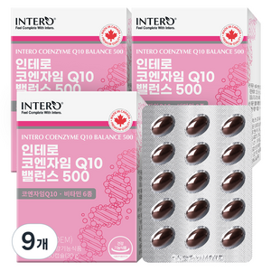 인테로 코엔자임 Q10 밸런스 500 30g, 60정, 9개