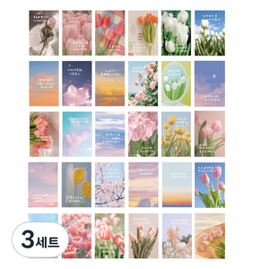 레오빈스 감성 인테어 엽서 카드 꿈에서 깨어나는 곳 30종 세트, 혼합색상, 3세트
