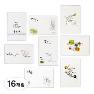 1AM 캘리그라피 The words 엽서세트, 혼합색상, 16개