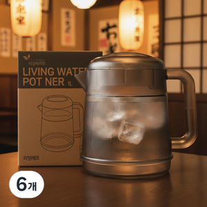 리빙메이트 PC 워터포트, 스모그, 1L, 6개