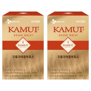BYO 카무트 곡물 과채 콤부효소, 60g, 2개