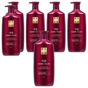 리엔 자윤 모근강화 지성 샴푸, 950ml, 6개