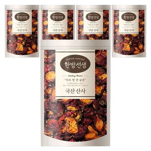 한방선생 산사, 150g, 5개