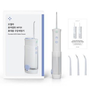 오엘라 퓨어덴트 휴대용 구강세정기, 아쿠아민트, WFO1-LY660