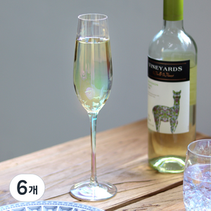 티니블랑 샤인 샴페인잔, 6개, 235ml