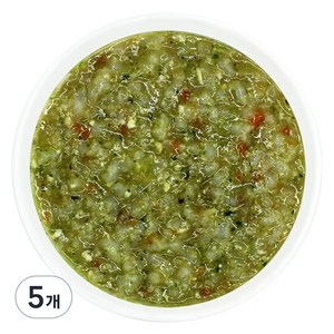 짱죽 실온이유식 9개월부터 중기 죽2, 한우두부비타민채죽, 160g, 5개